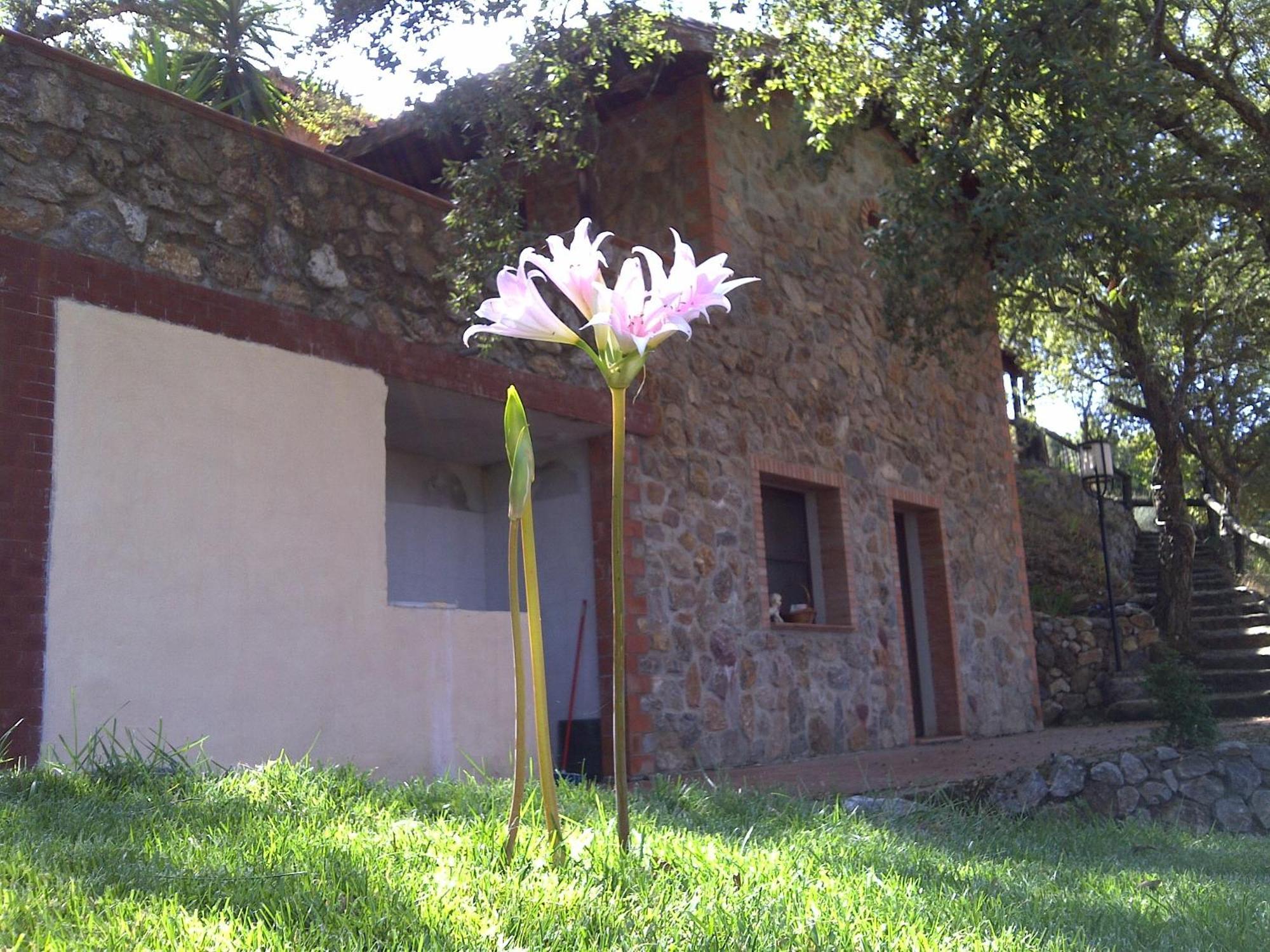 Agriturismo La Quercia Affittacamere Arbus Esterno foto